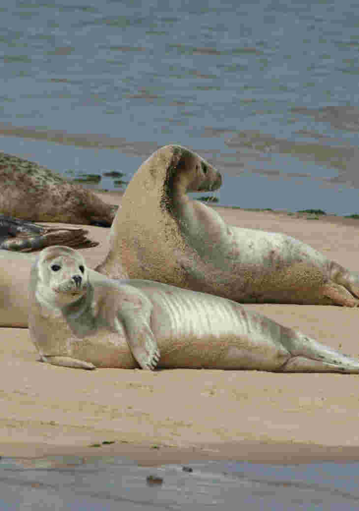 North Norfolk Places To Visit 3