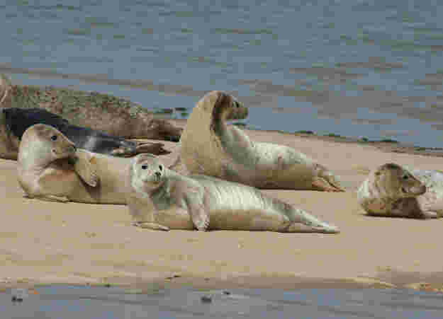 North Norfolk Places To Visit 3